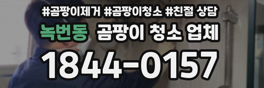 녹번동 곰팡이 청소 업체