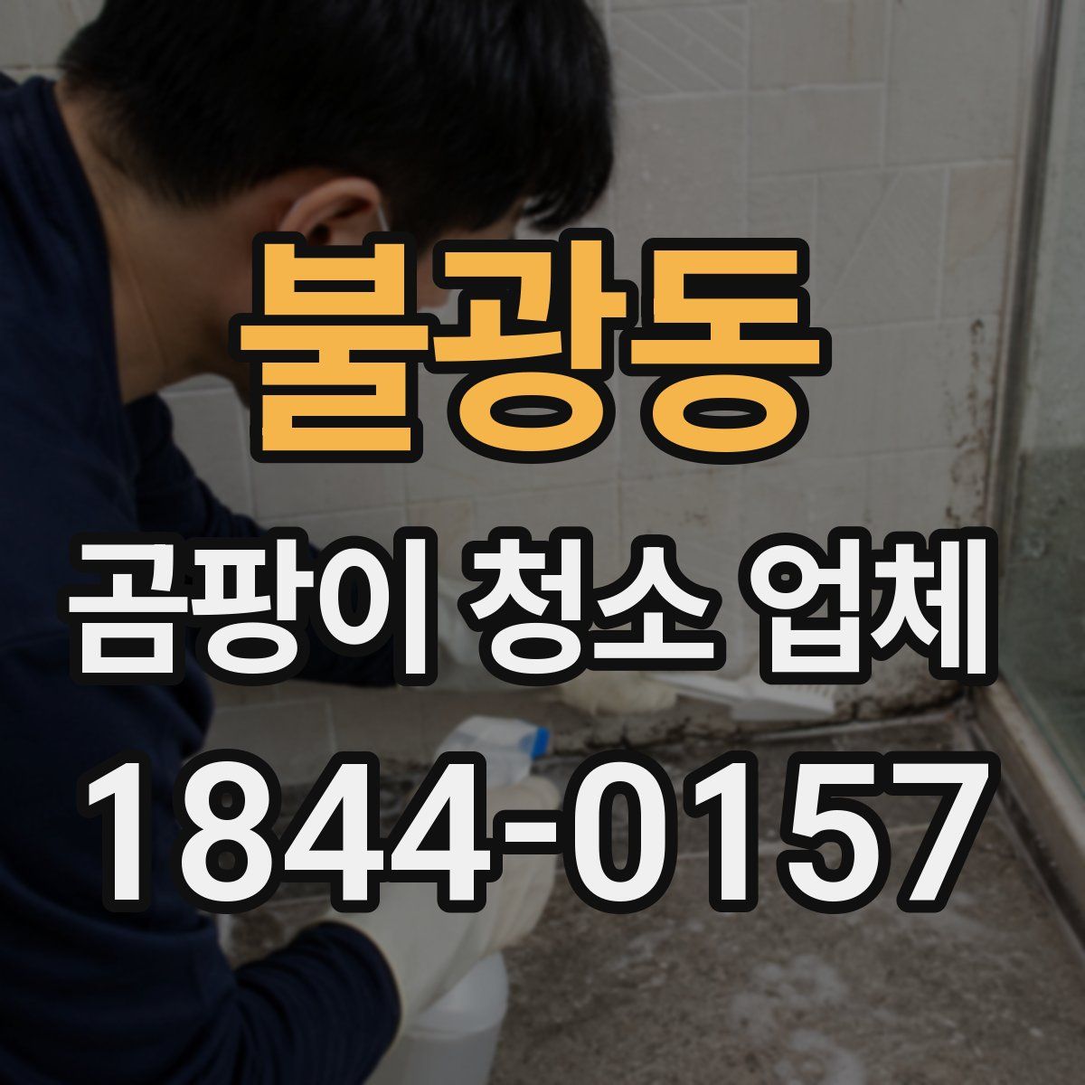 불광동 곰팡이 청소 업체