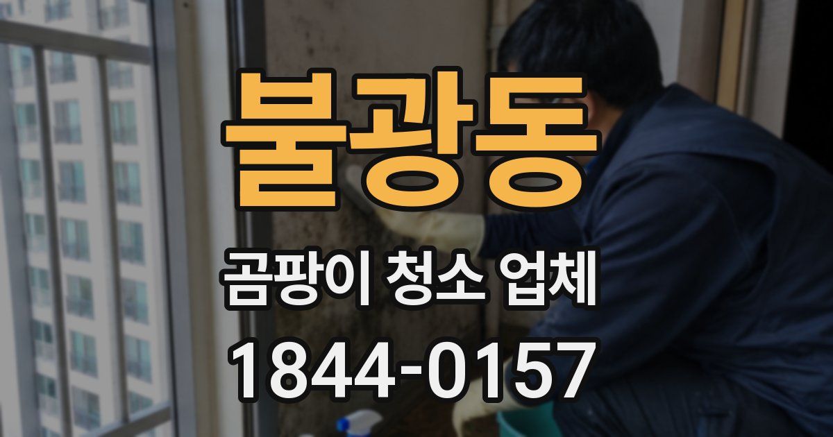 불광동 곰팡이 청소 업체