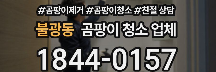 불광동 곰팡이 청소 업체