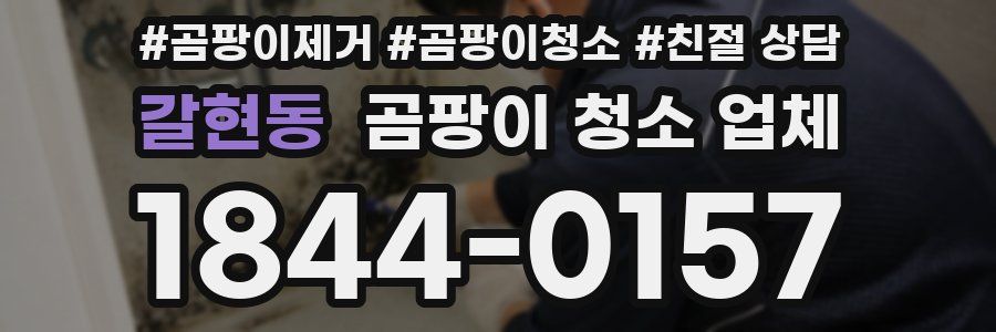 갈현동 곰팡이 청소 업체
