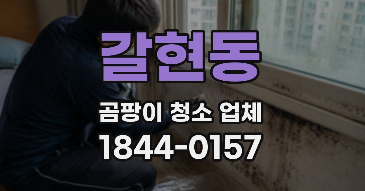 갈현동 곰팡이 청소 업체