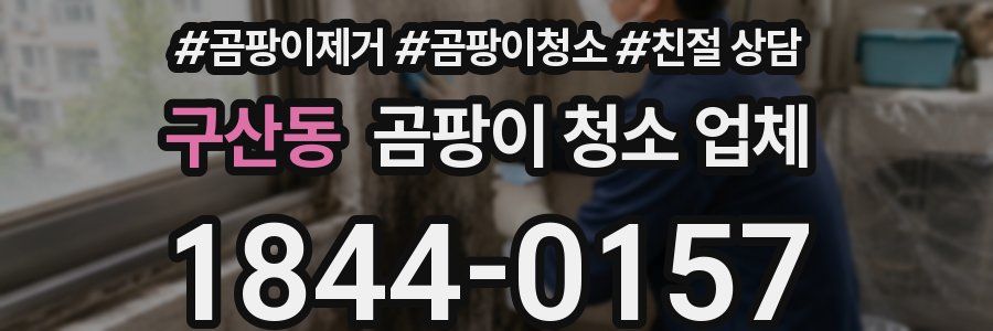 구산동 곰팡이 청소 업체