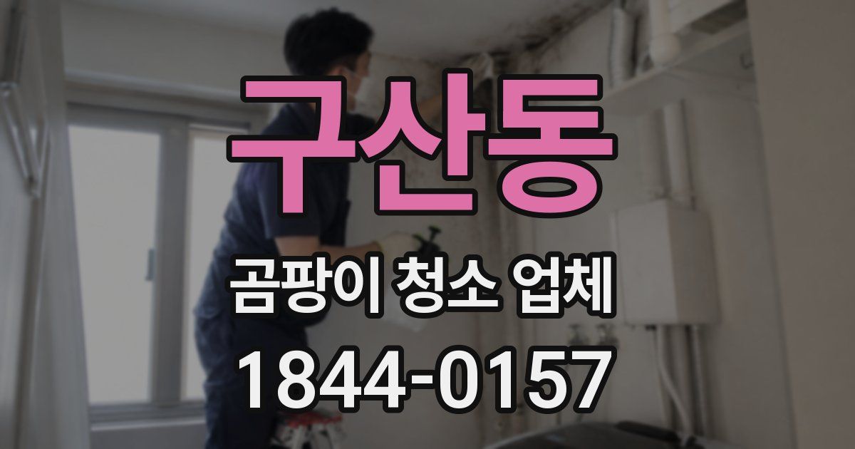 구산동 곰팡이 청소 업체