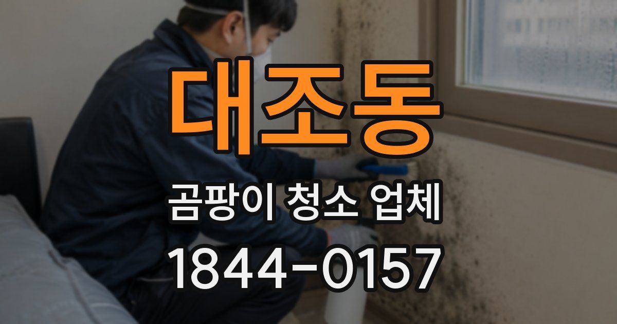 대조동 곰팡이 청소 업체