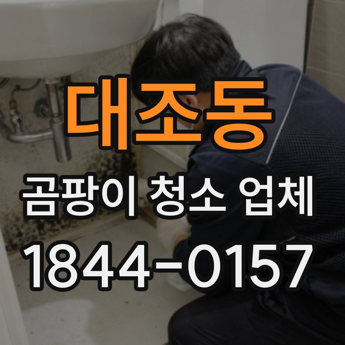 대조동 곰팡이 청소 업체
