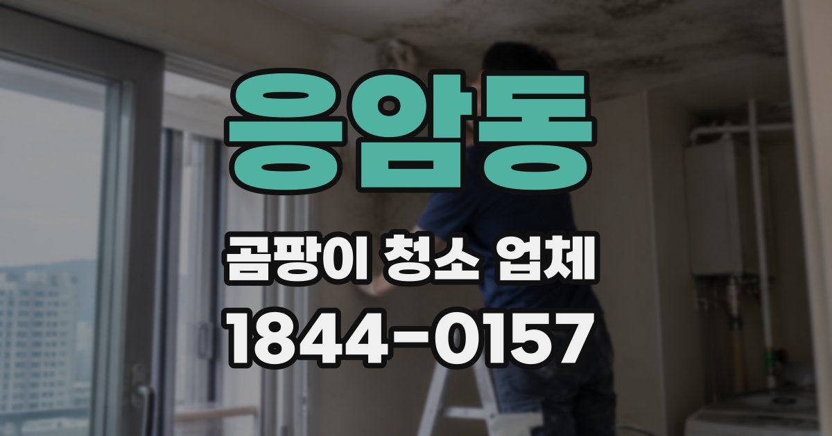 응암동 곰팡이 청소 업체
