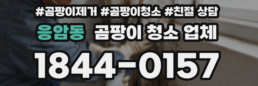 응암동 곰팡이 청소 업체