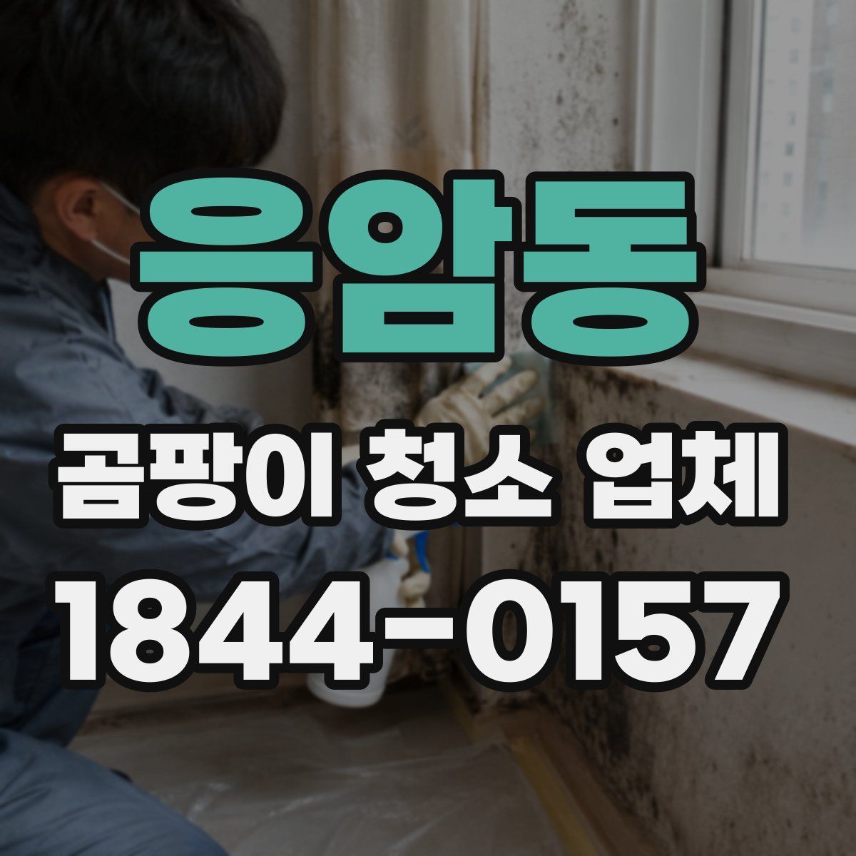 응암동 곰팡이 청소 업체
