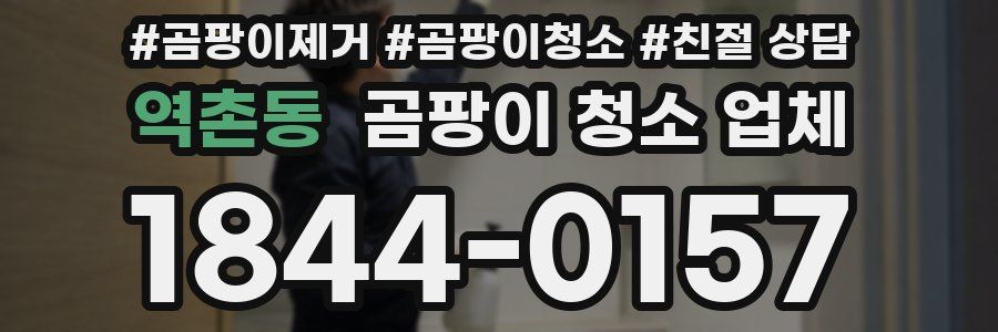 역촌동 곰팡이 청소 업체