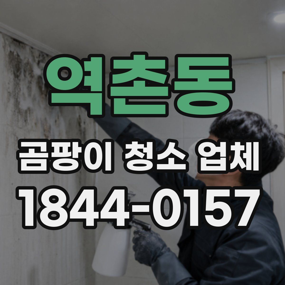 역촌동 곰팡이 청소 업체