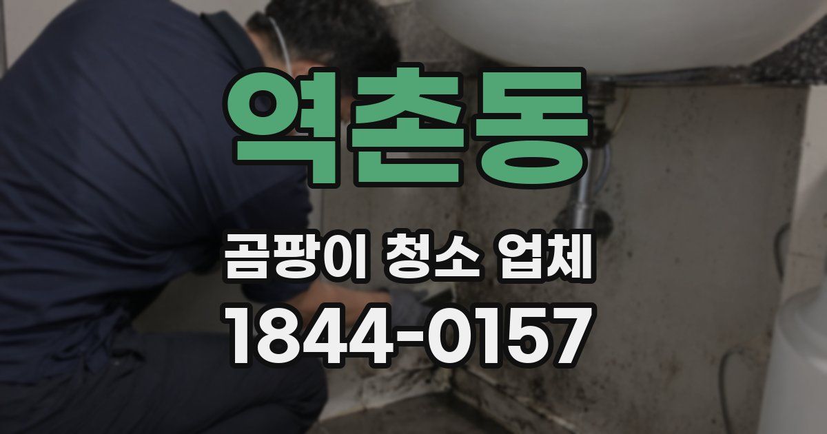 역촌동 곰팡이 청소 업체
