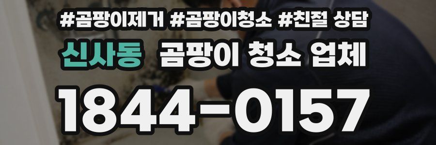 신사동 곰팡이 청소 업체