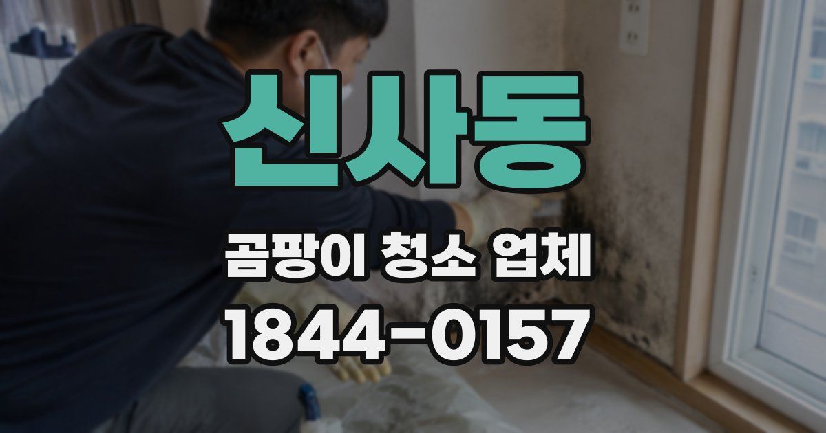 신사동 곰팡이 청소 업체