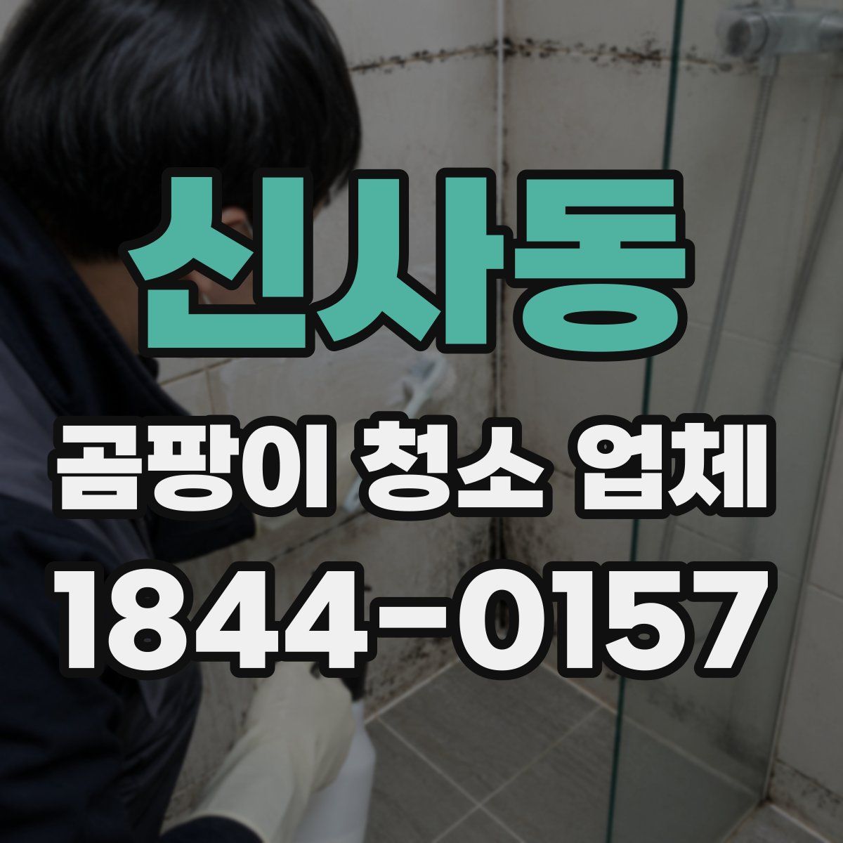 신사동 곰팡이 청소 업체