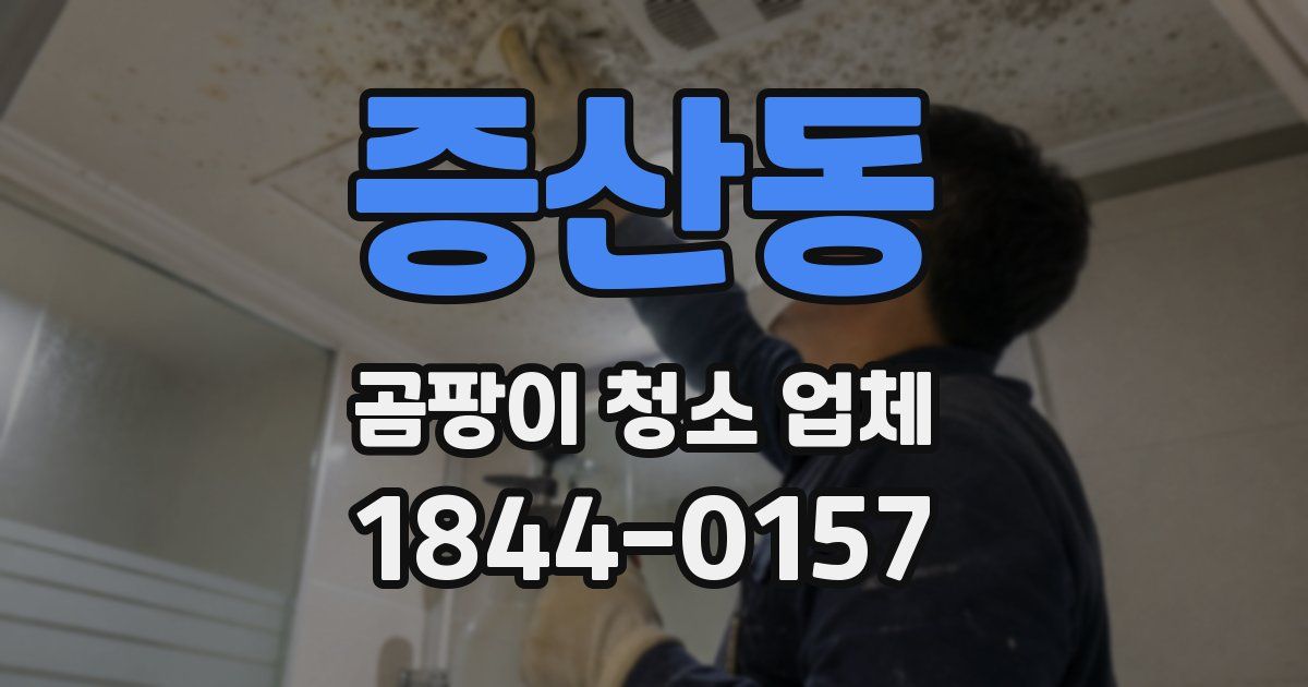 증산동 곰팡이 청소 업체