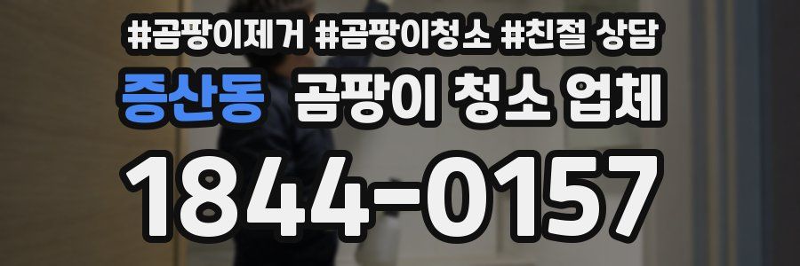 증산동 곰팡이 청소 업체