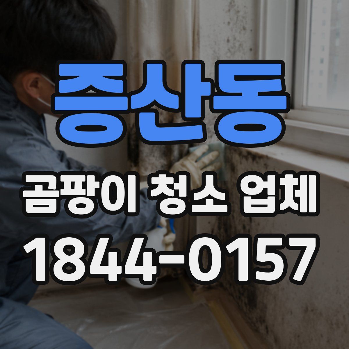 증산동 곰팡이 청소 업체