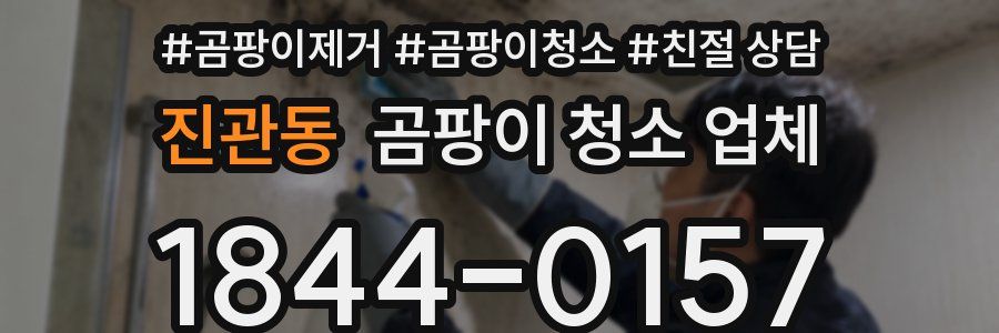 진관동 곰팡이 청소 업체