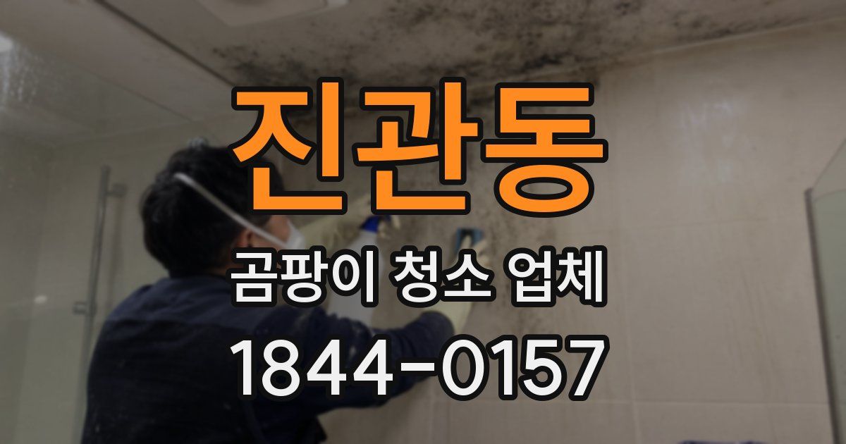 진관동 곰팡이 청소 업체