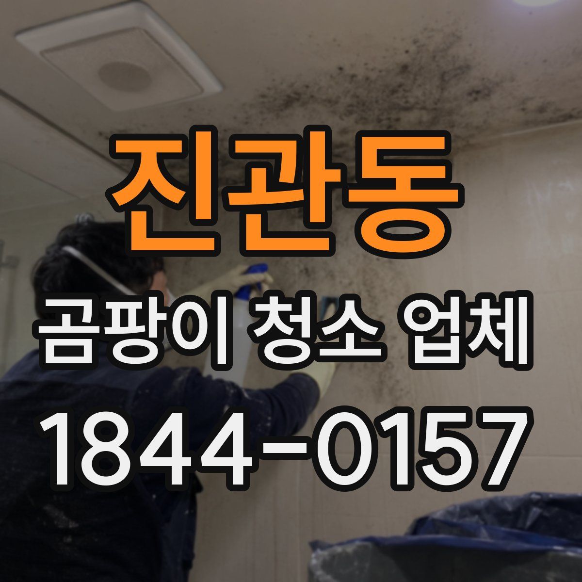 진관동 곰팡이 청소 업체
