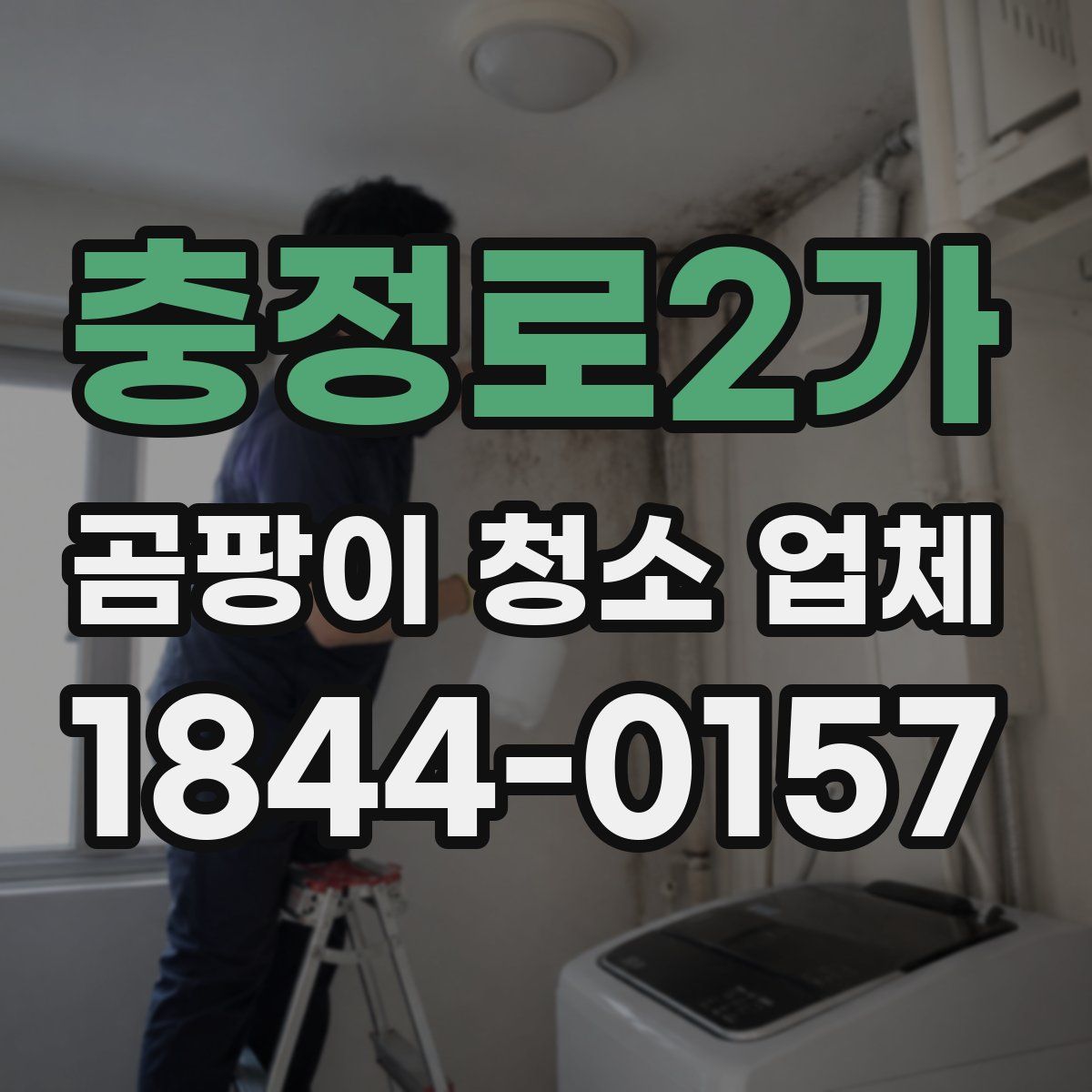 충정로2가 곰팡이 청소 업체