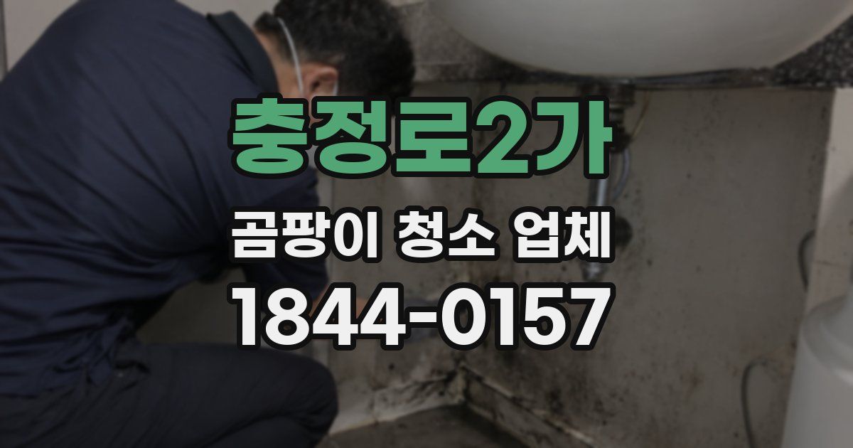 충정로2가 곰팡이 청소 업체