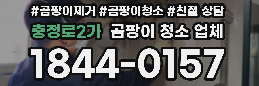 충정로2가 곰팡이 청소 업체