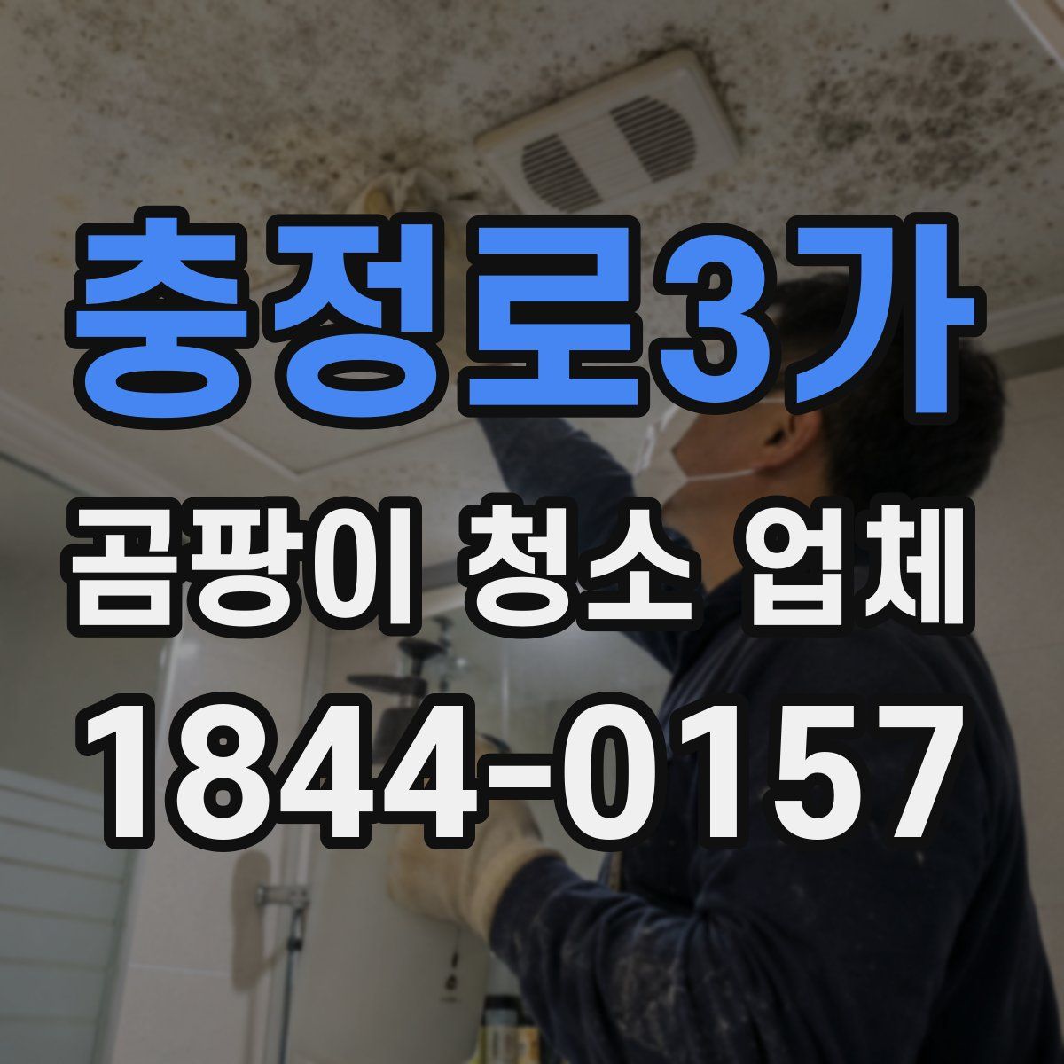 충정로3가 곰팡이 청소 업체