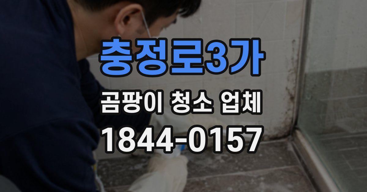 충정로3가 곰팡이 청소 업체