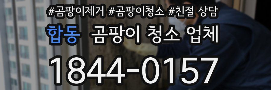 합동 곰팡이 청소 업체
