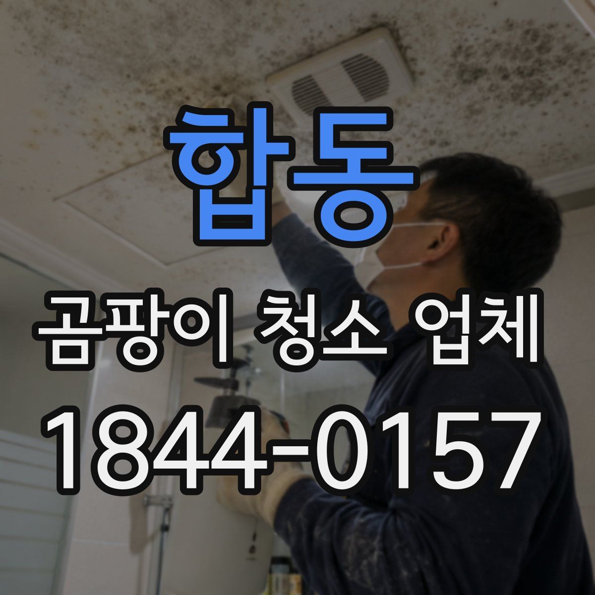 합동 곰팡이 청소 업체