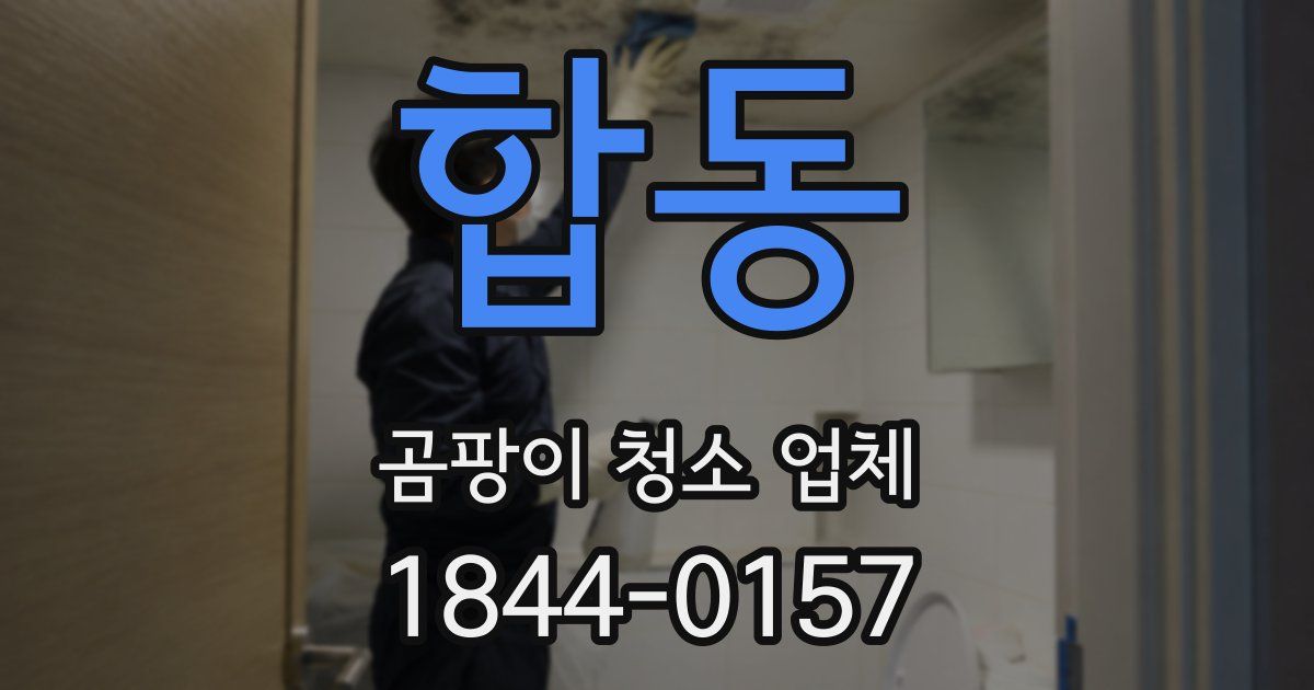 합동 곰팡이 청소 업체