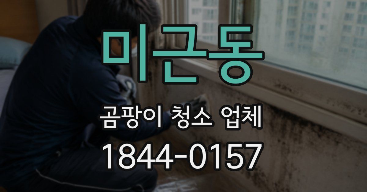 미근동 곰팡이 청소 업체