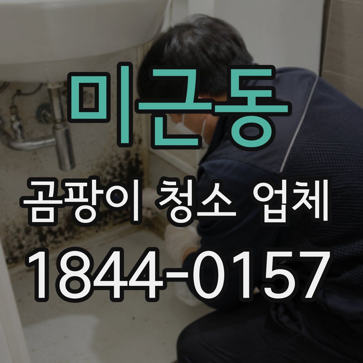 미근동 곰팡이 청소 업체