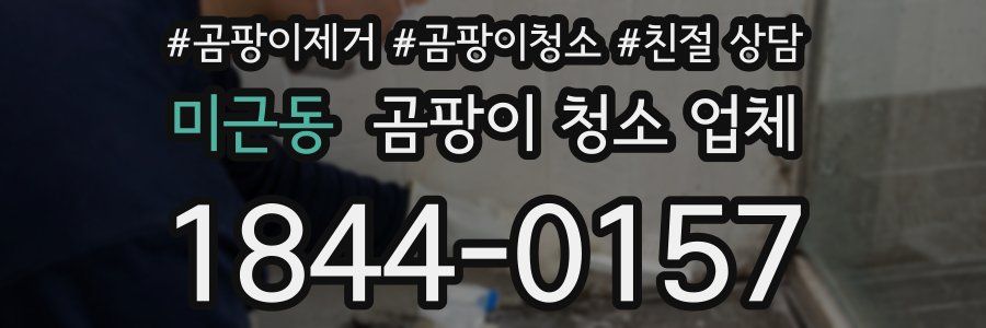 미근동 곰팡이 청소 업체
