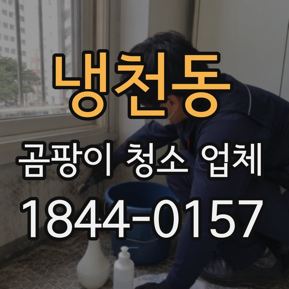 냉천동 곰팡이 청소 업체