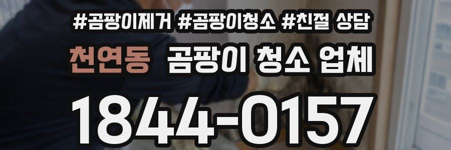 천연동 곰팡이 청소 업체