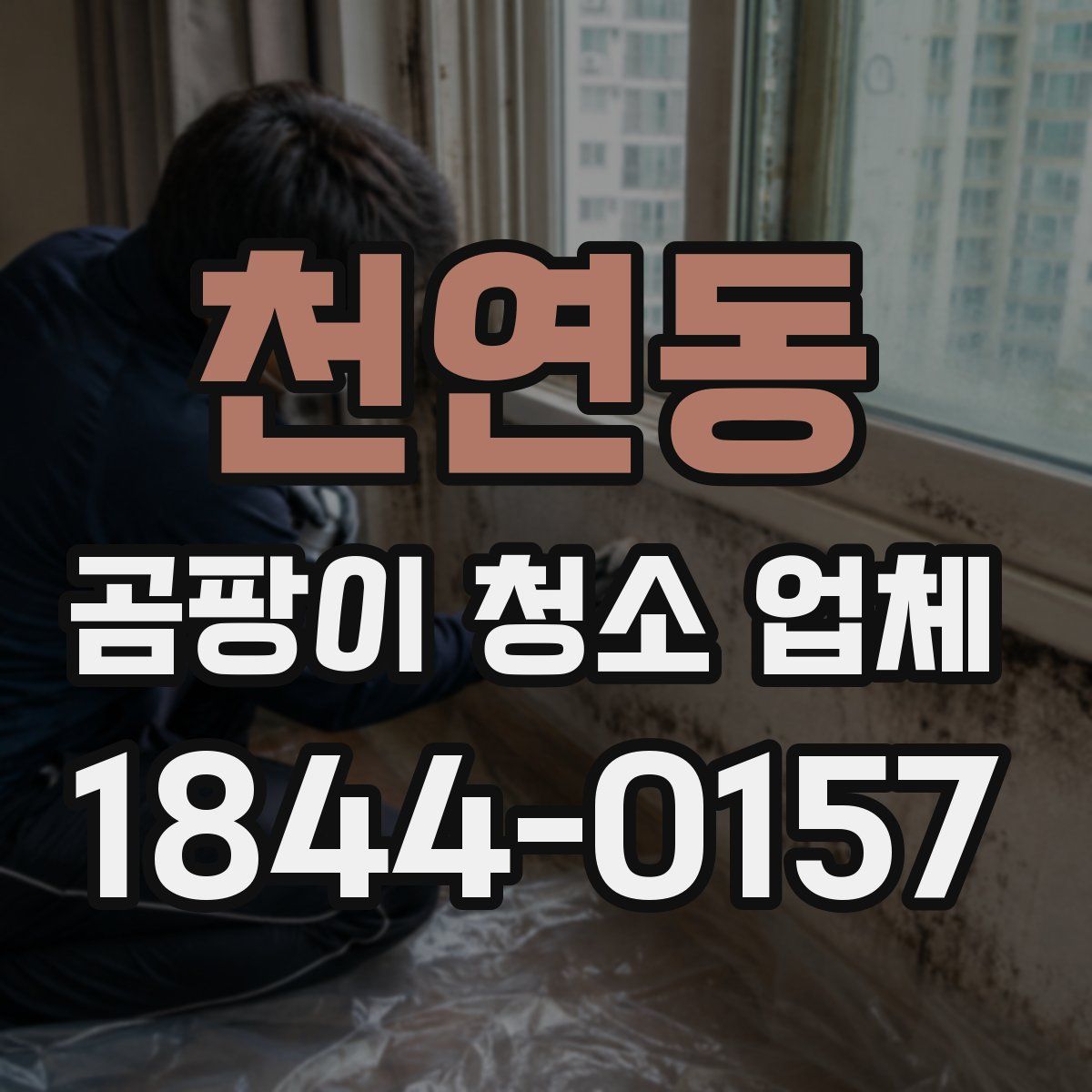 천연동 곰팡이 청소 업체