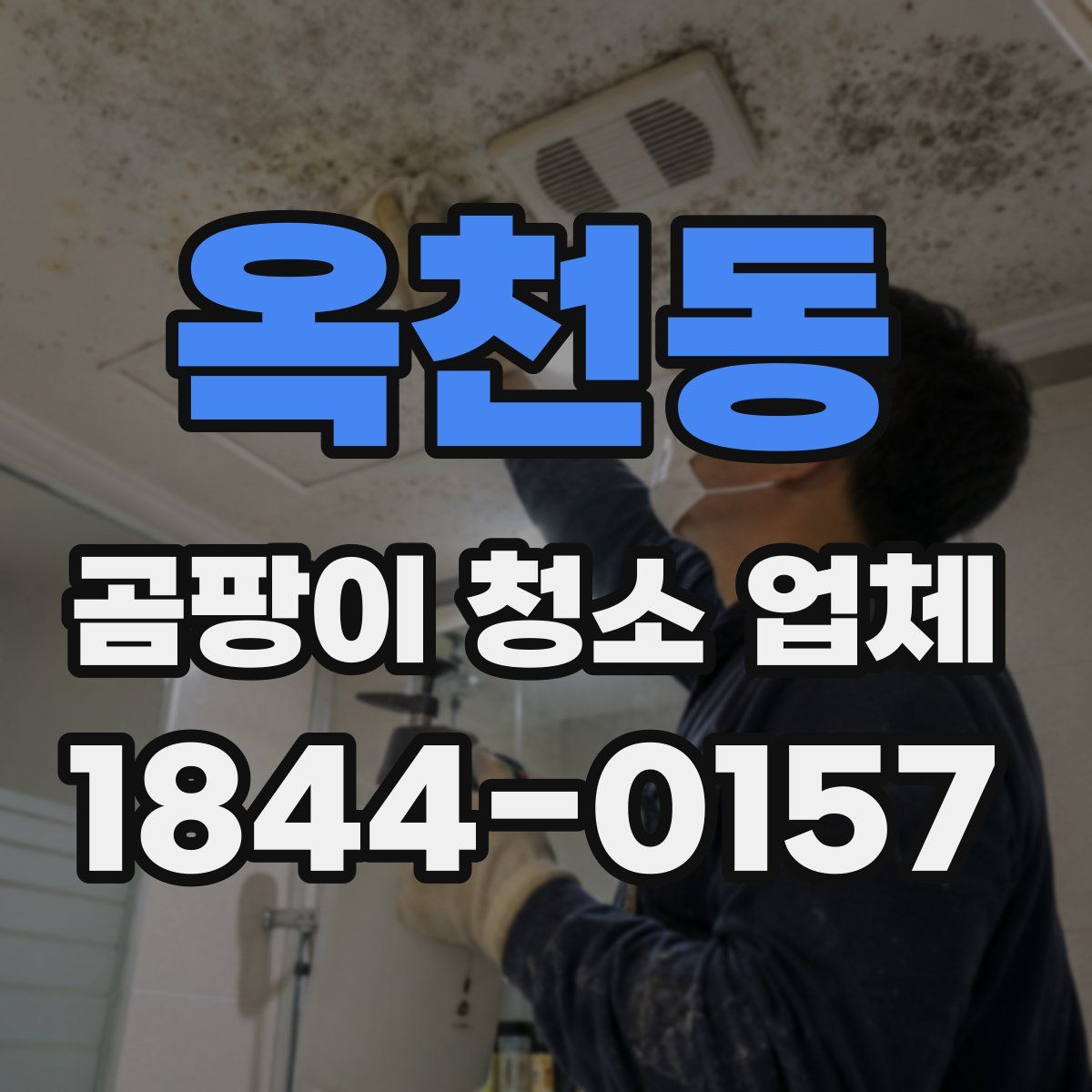 옥천동 곰팡이 청소 업체