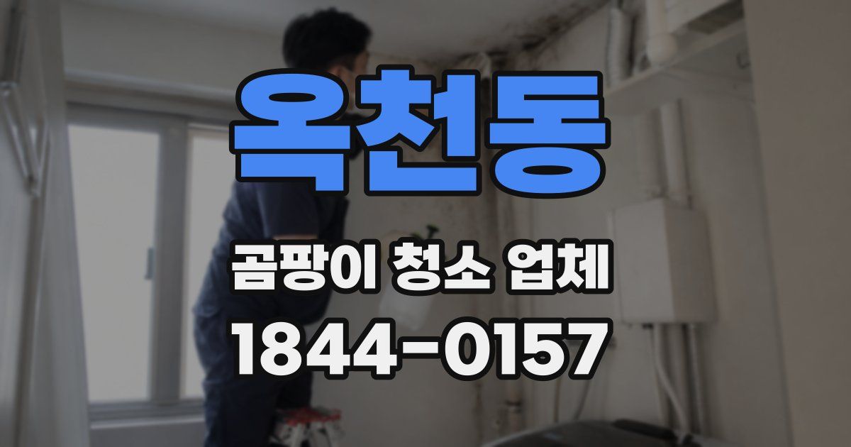 옥천동 곰팡이 청소 업체