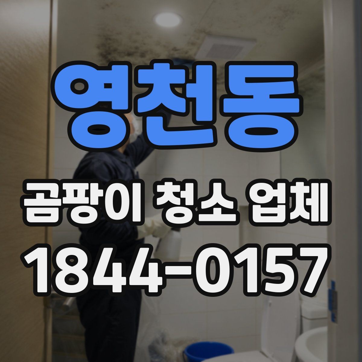영천동 곰팡이 청소 업체 예약 전 점검해야 할 부분