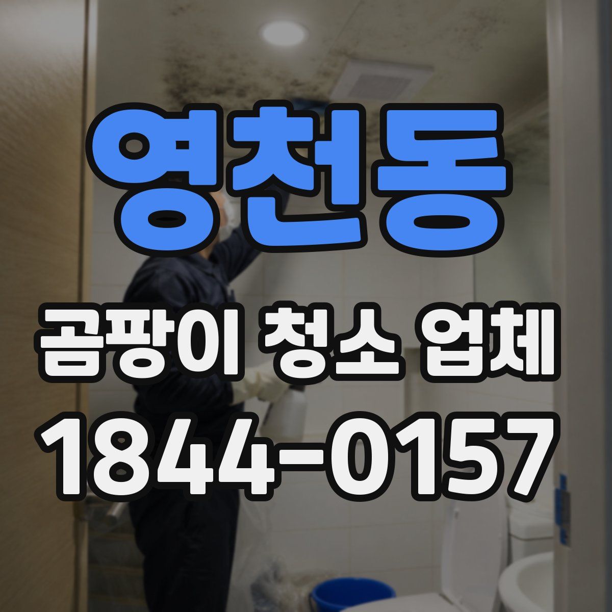 영천동 곰팡이 청소 업체