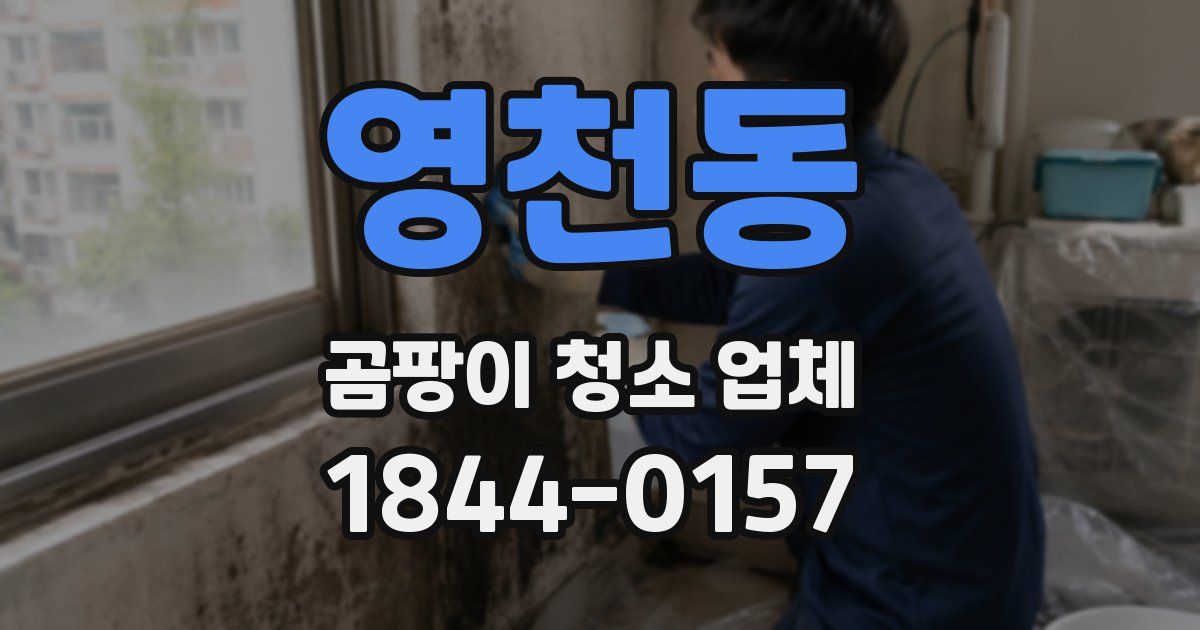 영천동 곰팡이 청소 업체