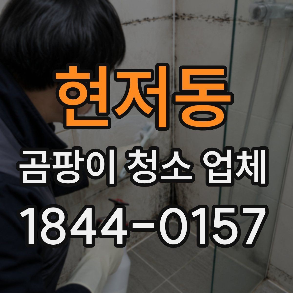현저동 곰팡이 청소 업체 이용 사례로 보는 해결 과정