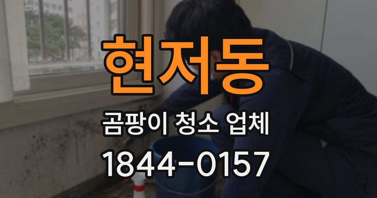 현저동 곰팡이 청소 업체
