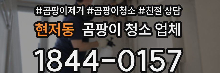 현저동 곰팡이 청소 업체