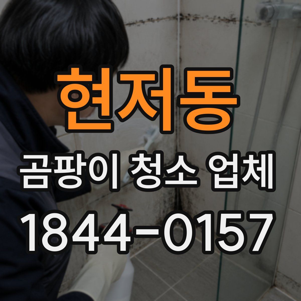 현저동 곰팡이 청소 업체