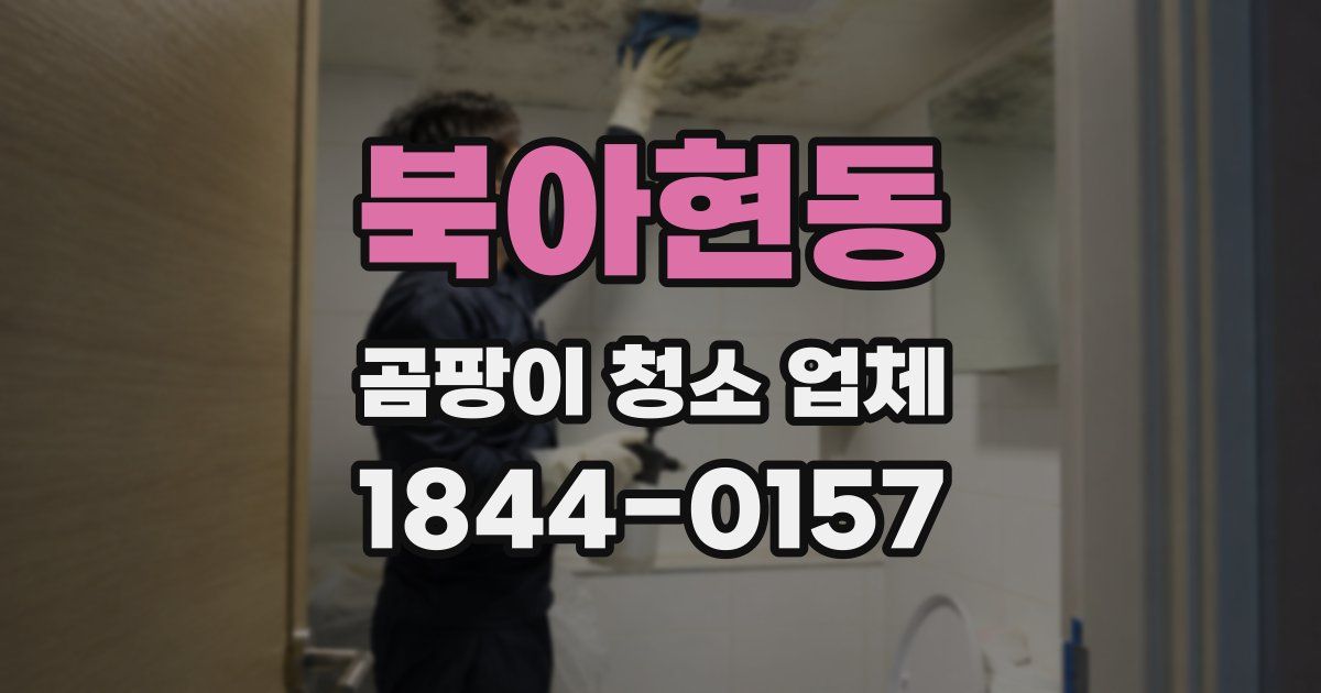 북아현동 곰팡이 청소 업체