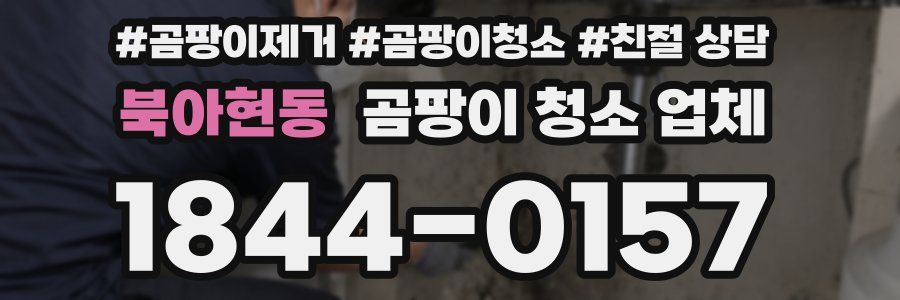 북아현동 곰팡이 청소 업체